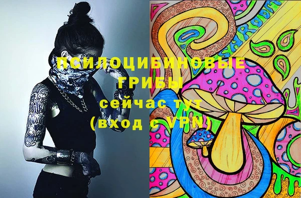 MDMA Белокуриха